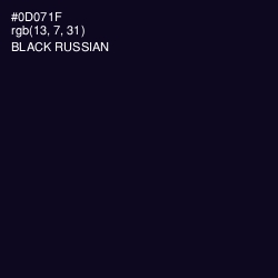 #0D071F - Black Russian Color Image